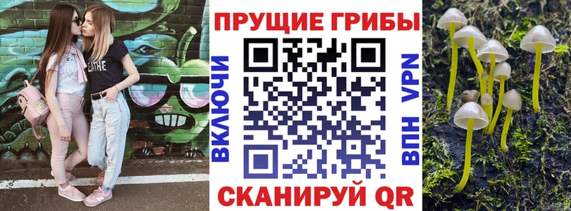 Галлюциногенные грибы прущие грибы  Тутаев 